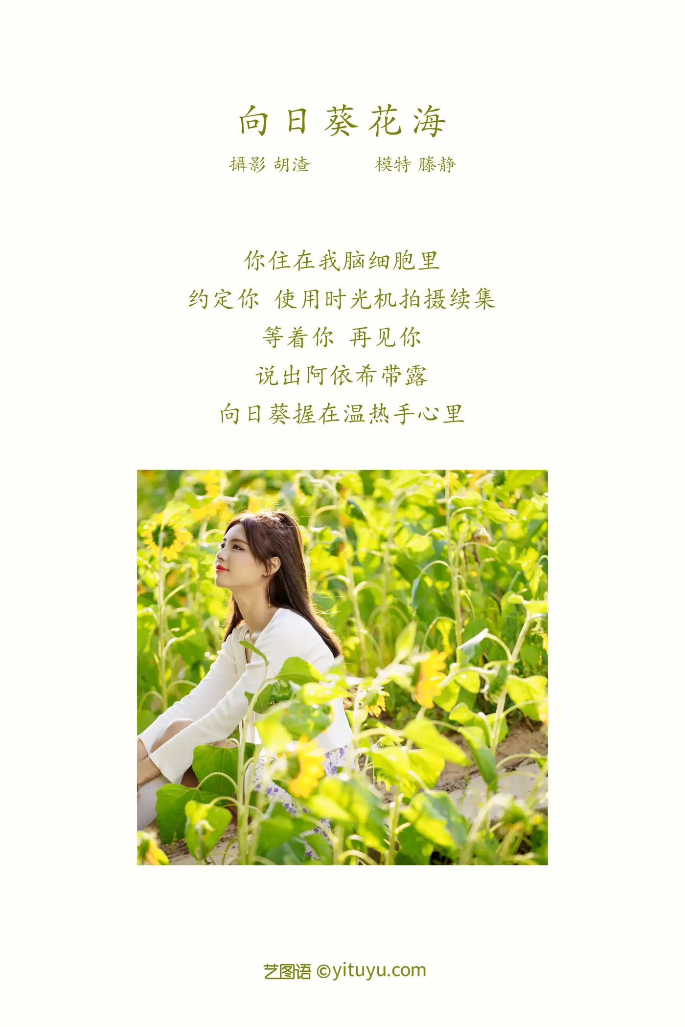 [YITUYU] 2021.12.30 Vol.554 – Sea of Sunflowers Teng Jing#[31P]-2