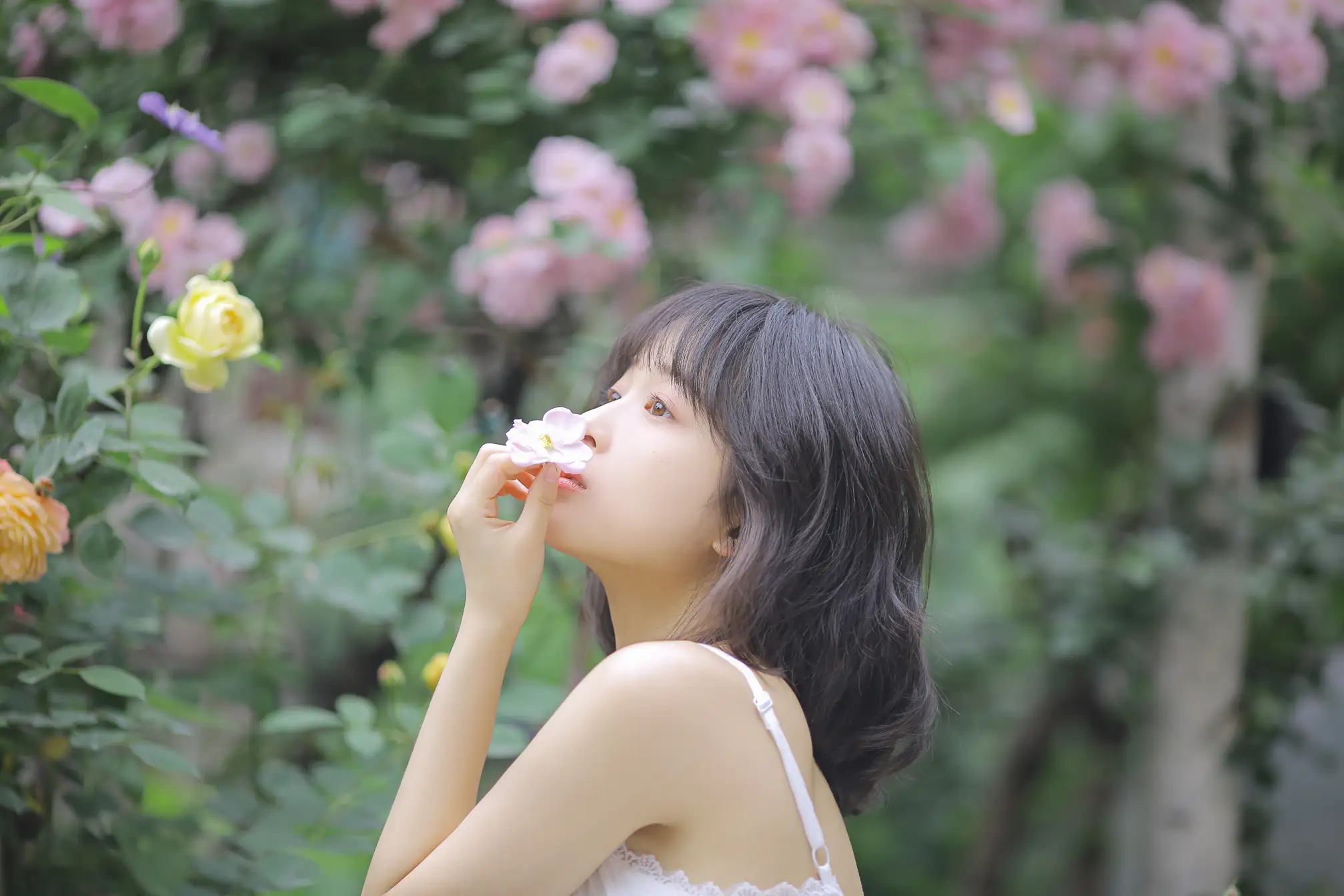 [YITUYU] 2022.08.17 Vol.1725 – The flowering period has arrived and the beauty is as good as ever Sweet wine No. 8#[30P]-8